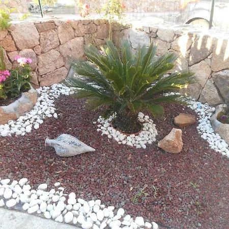 Zen House